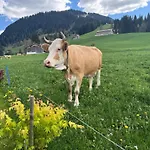Daire Alpenchalet Weidhaus - Dachwohnung - - Stockbettzimmer Gstaad