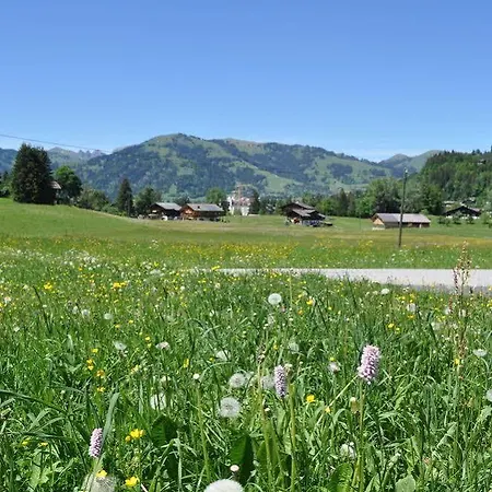 Alpenchalet Weidhaus Gstaad Apartment Gstaad