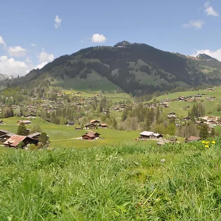 Apartment Alpenchalet Weidhaus Gstaad *