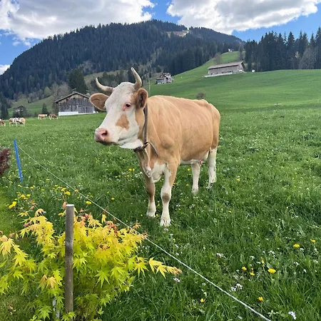 Apartamento Alpenchalet Weidhaus - Dachwohnung - - Stockbettzimmer Gstaad