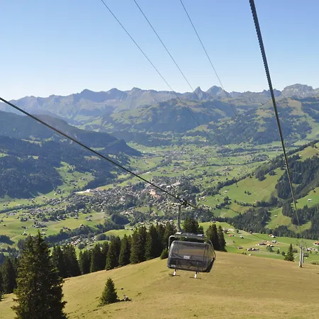 Alpenchalet Weidhaus - Dachwohnung - - Stockbettzimmer * 格施塔德