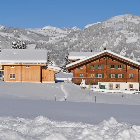Alpenchalet Weidhaus Gstaad - Verschiedene Wohneinheiten Lejlighed