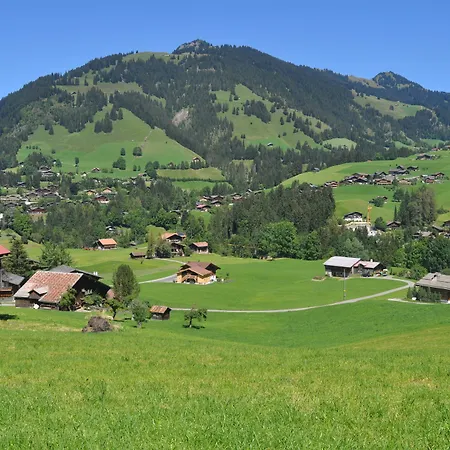 Alpenchalet Weidhaus Gstaad - Verschiedene Wohneinheiten Gstaad