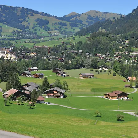 Lejlighed Alpenchalet Weidhaus Gstaad - Verschiedene Wohneinheiten