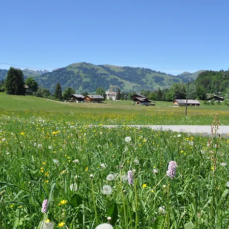 Alpenchalet Weidhaus - Dachwohnung - - Stockbettzimmer 格施塔德