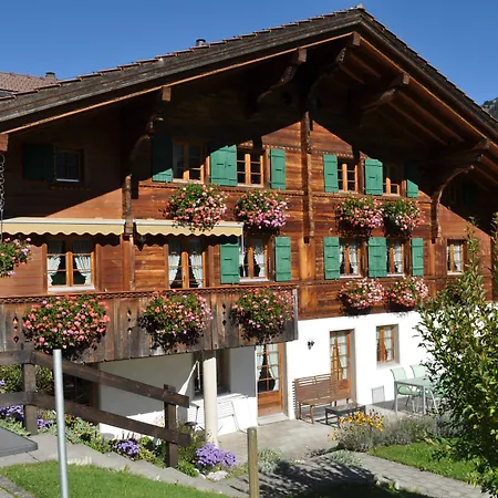 Alpenchalet Weidhaus Gstaad - Verschiedene Wohneinheiten Lejlighed *