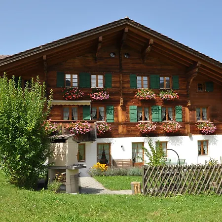 Lejlighed Alpenchalet Weidhaus Gstaad - Verschiedene Wohneinheiten *