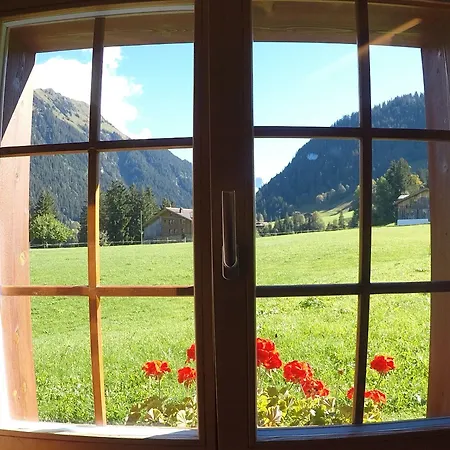 Alpenchalet Weidhaus Gstaad - Verschiedene Wohneinheiten Lejlighed *