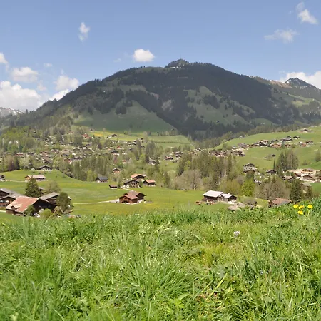 Alpenchalet Weidhaus - Diverse Wohneinheiten * Gstaad