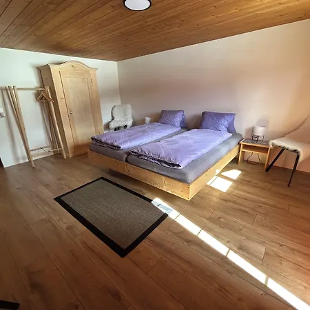 Alpenchalet Weidhaus - Diverse Wohneinheiten Gstaad