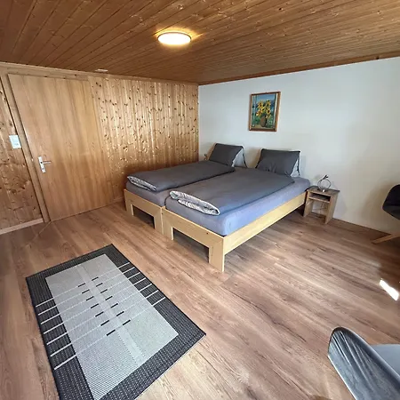 Apartamento Alpenchalet Weidhaus - Diverse Wohneinheiten Gstaad