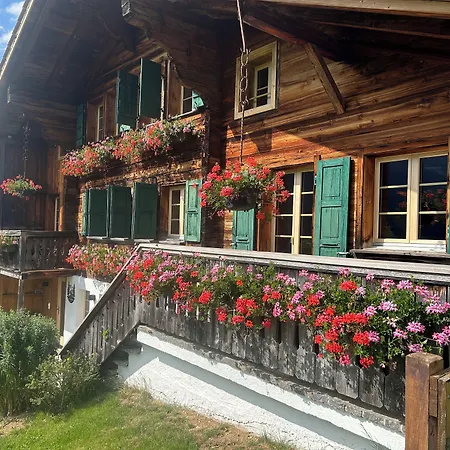 Alpenchalet Weidhaus - Diverse Wohneinheiten * Gstaad