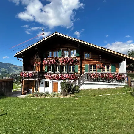 Alpenchalet Weidhaus - Diverse Wohneinheiten * Gstaad