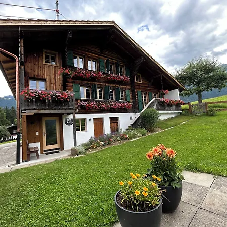 Alpenchalet Weidhaus - Diverse Wohneinheiten Apartamento Gstaad