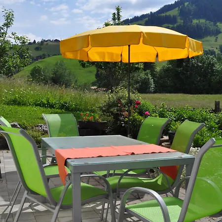 Alpenchalet Weidhaus - Diverse Wohneinheiten * Gstaad