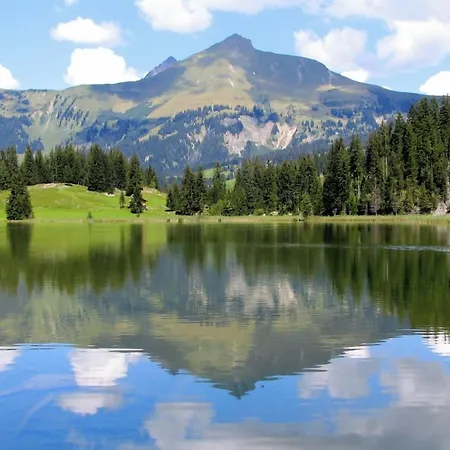 Alpenchalet Weidhaus - Diverse Wohneinheiten