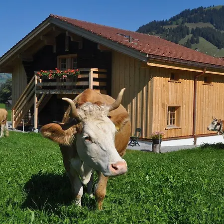 Apartment Alpenchalet Weidhaus Gstaad *