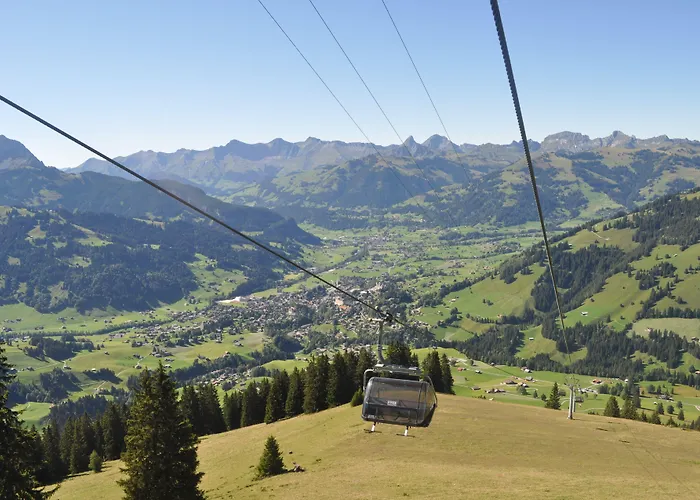 Alpenchalet Weidhaus - Dachwohnung - - Stockbettzimmer * Gstaad