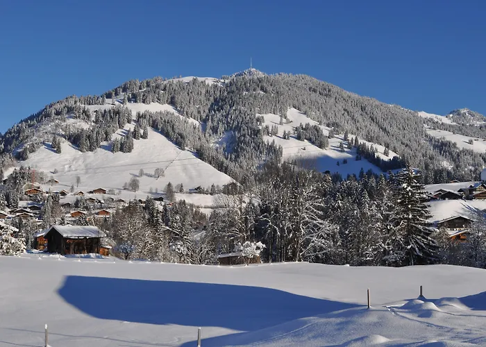 Lejlighed Alpenchalet Weidhaus - Dachwohnung - - Stockbettzimmer