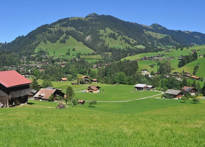 Alpenchalet Weidhaus - Dachwohnung - - Stockbettzimmer Gstaad