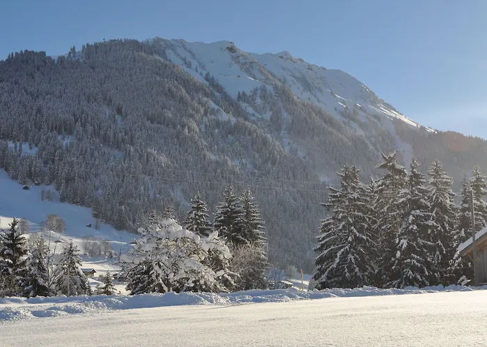 Alpenchalet Weidhaus - Dachwohnung - - Stockbettzimmer *