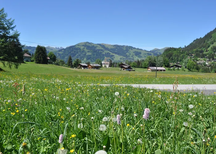 Alpenchalet Weidhaus - Dachwohnung - - Stockbettzimmer Gstaad