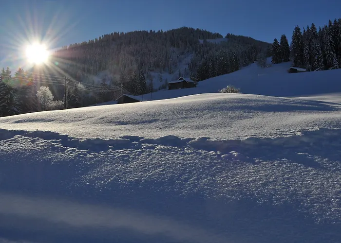 Alpenchalet Weidhaus - Dachwohnung - - Stockbettzimmer * Gstaad