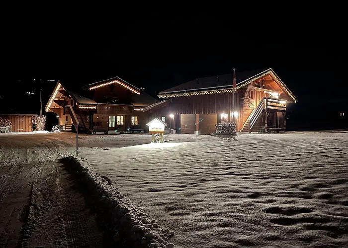Alpenchalet Weidhaus - Dachwohnung - - Stockbettzimmer Gstaad