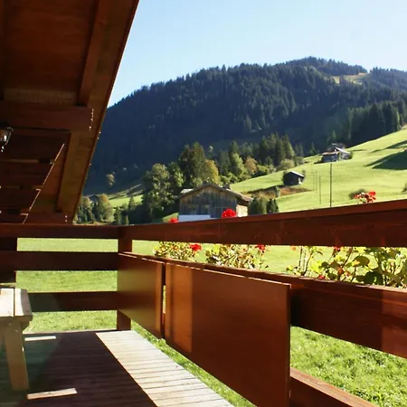 Apartment Alpenchalet Weidhaus Gstaad