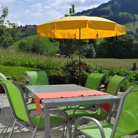 Apartment Alpenchalet Weidhaus Gstaad