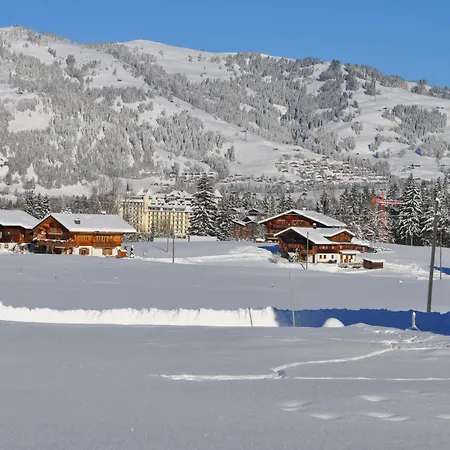 Apartment Alpenchalet Weidhaus Gstaad