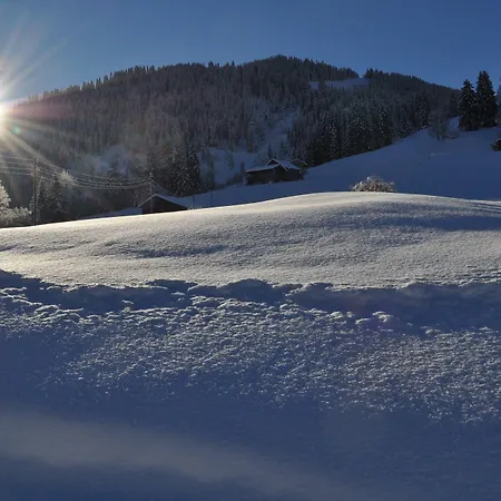 Alpenchalet Weidhaus * Gstaad