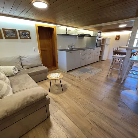 Apartment Alpenchalet Weidhaus Gstaad