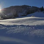 Alpenchalet Weidhaus - Dachwohnung - - Stockbettzimmer * 그슈타드