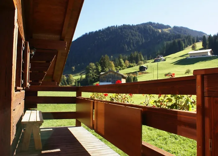 Apartamento Alpenchalet Weidhaus - Dachwohnung - - Stockbettzimmer Gstaad