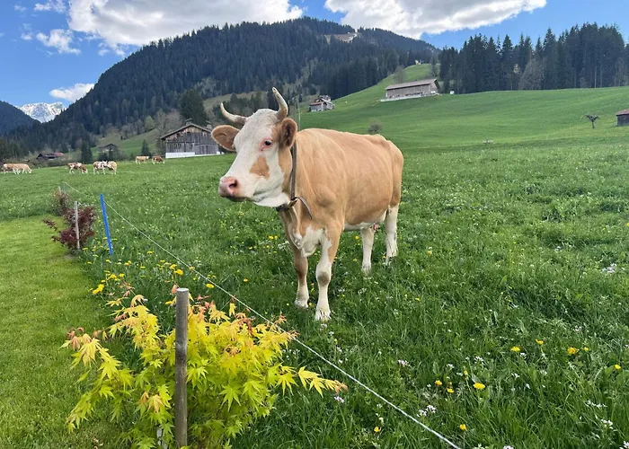 Apartamento Alpenchalet Weidhaus - Dachwohnung - - Stockbettzimmer Gstaad