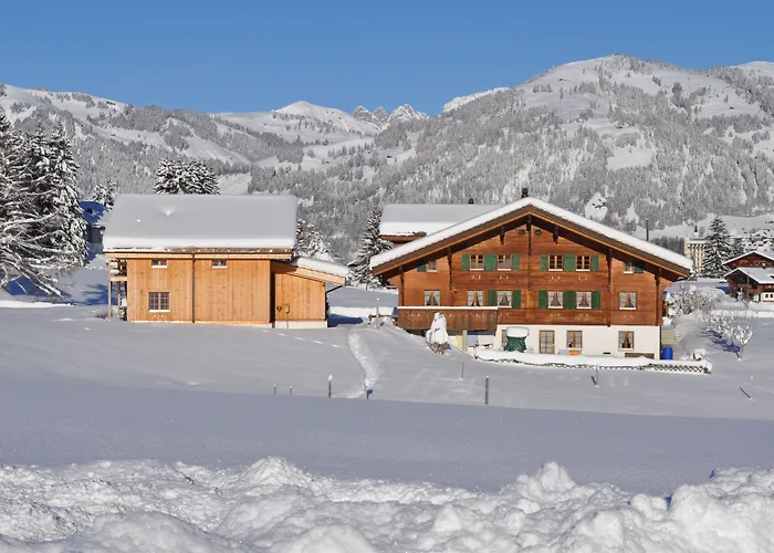 Alpenchalet Weidhaus - Dachwohnung - - Stockbettzimmer Apartamento