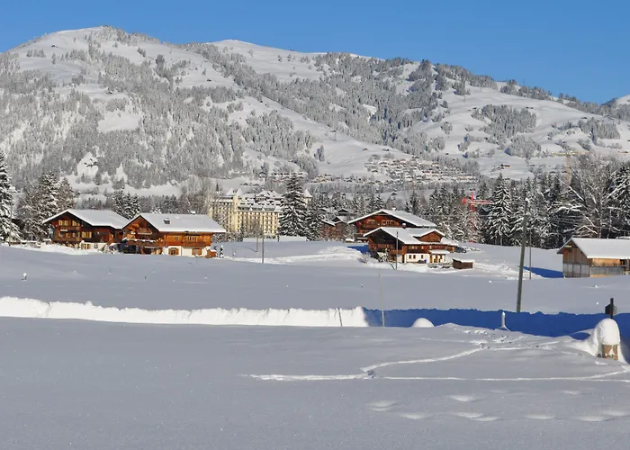 Apartamento Alpenchalet Weidhaus - Dachwohnung - - Stockbettzimmer Gstaad