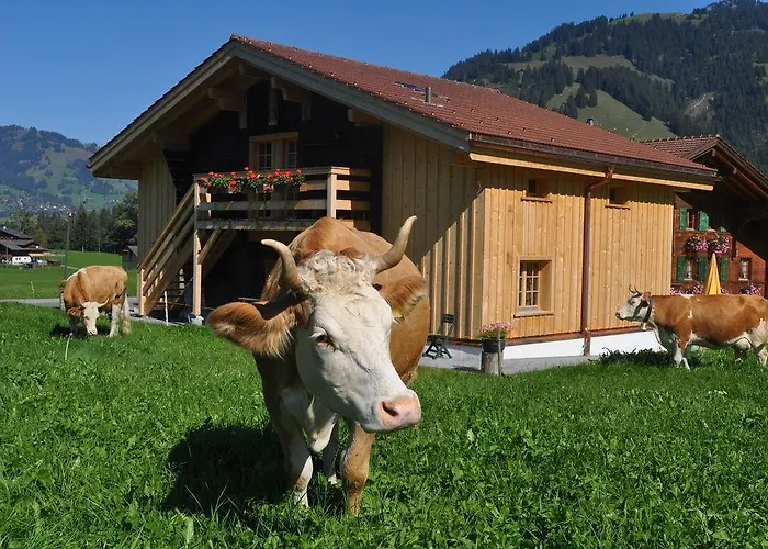 Apartamento Alpenchalet Weidhaus - Dachwohnung - - Stockbettzimmer *